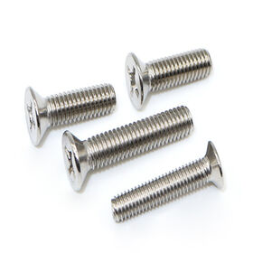 OEM welcome Fasteners 304 stainless steel countersunk head tapping screws