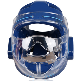OEM ODM Full Face Martial Arts Helmet Kudo Karate Sparring Head Guard with Transparent Anti Fog Visor for Training Competition Kr