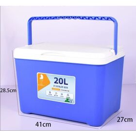 Whosale Portable OEM 20L Custom Logo Outdoor Electric Mini Car Ice Cooler Box Cooling and Heating Cooler Box Insulated Cooler Box