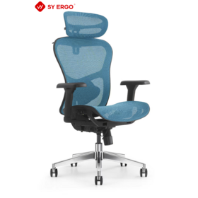 Ergonomic Executive Chair with Reclining Mesh Back and Aluminum Swivel Pedestal Height Adjustable