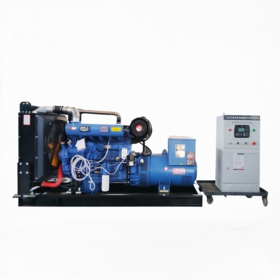 Nuestra cartera incluye grupos electrógenos diesel industriales que abarcan de 10kW a 3000kW, configurados para alta tensión o baja tensión