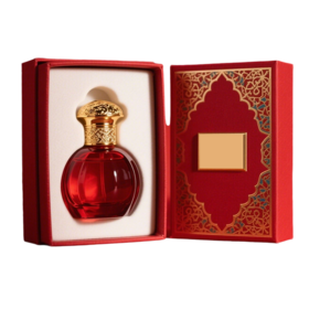 Emballage rigide de luxe fait sur commande de carton pour le stockage d'affichage de marque de cadeau de parfum Service d'OEM Premium Design luxe