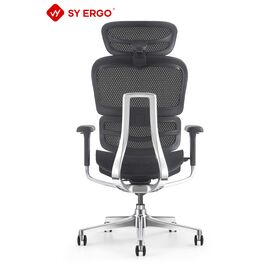 Executive Ergonomic Mesh Office Chair Adjustable Lumbar Recline Function ISO 9001 Approved Modern Luxury