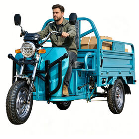 Electric Tricycle for Adults Cargo Transport Open Brushless Motor Lead-acid Battery High Payload Capacity 50-60km/h 70-90km