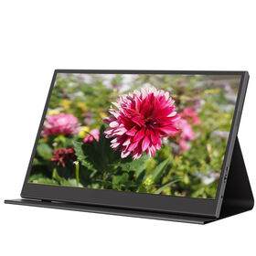 15.6 Inch Portable Monitor 1K FHD IPS 60Hz HDMI USB C Flicker-Free Technology Eye Care Certified VESA Mountable HDR PM04