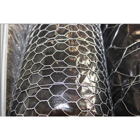 Chicken Metal Mesh with Hexagonal Eye, Hot-dip Galvanized,hot selling,made from high-quality galvanized iron wire.Supplier
