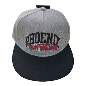 Boy's 100% polyester heavy twill cap with printing,5 panels,flat peak,with plastic buckle,with front lining