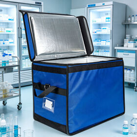 Cheap Food Grade Safe Vacuum Insulated Medical Tote Bag for Chemotherapy Drugs