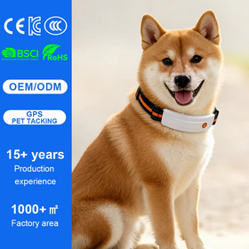 Qcool Wholesale Smart APP Control Electronic Fence Waterproof Sleep Tracking Health Monitoring Pet Collar