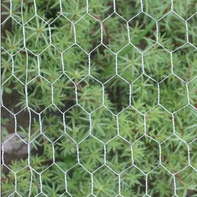 OEM of Hexagonal galvanized wire netting Hot-galvanized 30-100g /pvc-coated with roll package
