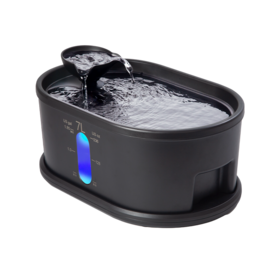 Dog Fountain (Wireless)