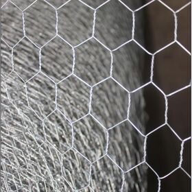 Fio/rede da galinha do OEM, 13mm, 25mm, 50mm/0.55MM/Q195