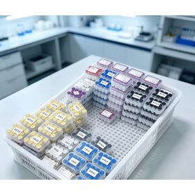 Direct Sales from China Factory with high purity 99+ peptide G65