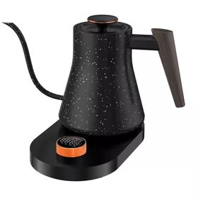 Large Capacity Electric Tea Pot with Temperature Control Portable Goose Neck Coffee Kettle for Outdoor Household Travel Hotels