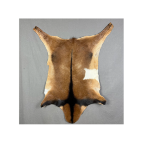 Premium Quality Goat Skins Wholesale Bulk Supply Fresh Natural Goat Skins For Sale At Cheap Price Worldwide Export Market