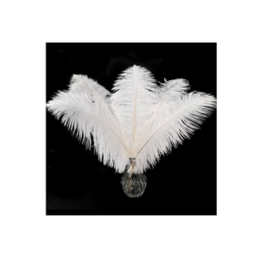Premium Quality Feathers Wholesale Bulk Supply Natural Feathers For Sale At Cheap Price Worldwide Export Market Trade GlobalA