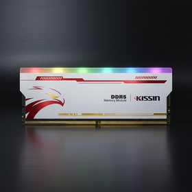 KISSIN OEM DDR5 RGB Gaming RAM 6000MHz 16GB 32GB 2x16GB 2x32GB 4800 5600 6400MHz UDIMM Ordinateur De Bureau Mémoire Dissipateur De Chaleur pour PC