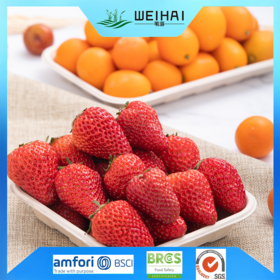 Peralatan Makan Peralatan Makan Anak Nampan Buah Biodegradable Wadah Kemasan Makanan Nampan Makanan Ramah Lingkungan