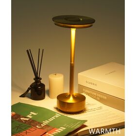 Knurled Handle Rechargeable Table Lamp Brushed Brass Silver Finishes Touch Activated Dimmer Circular Flat Top Light Head