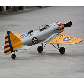 Detailed Alloy Aircraft Model
