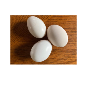 Fertile Hatching Eggs for Sale at Low Price High Fertility Eggs for Commercial Farms and Poultry Breeding