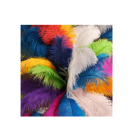 Wholesale Feathers Supplier High Quality Natural Feathers Available at Competitive Price for Bulk Orders