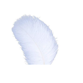 Cheap Feathers for Sale High Quality Clean Natural Feathers Wholesale Supply for Decoration Craft and Industrial Use