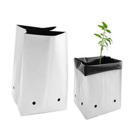 Black and White Panda Plastic Seed Nursery Bags for Strawberries