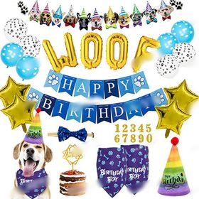 Cross Border New Pet Birthday Party Balloon Decoration Set Aluminum Foil Star Letter Balloon Decoration Prop