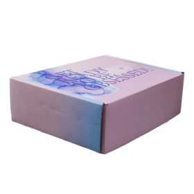 Corrugated Kraft Customize Logo Inside Printing Packaging Shipping Foldable Mailer Box