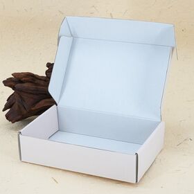 Boîte d'Expédition d'Avion Personnalisée avec Impression Graphique Minimale - Prix d'Usine, Boîte en Carton Ondulé Recyclable pour Perruques