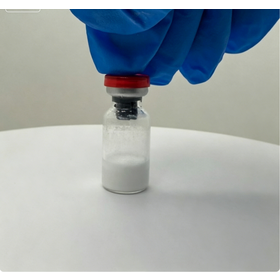 Hochwertige Peptide; Peptidforschung; chemische Peptide