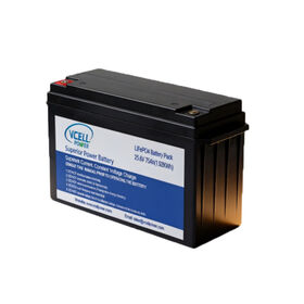 25.6V 75Ah Deep Cycle LiFePo4 Battery With ABS Case For RV Camper AGV Golf Cart Marine Solar Storage