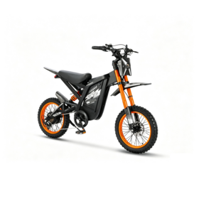 Vente en gros d'usine : Populaire Dirt Bike Électrique 16-24 pouces avec Moteur 1000W/2000W et Batterie Lithium 20AH