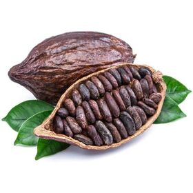 Organic Roasted Cocoa Beans for Chocolate Wholesale Dried Cacao Beans Certified Organic