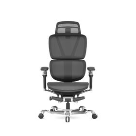 Chaise de Gaming Ultra Ergonomique EaseDyna avec Double Dossier