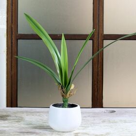 No Maintenance Artificial Cymbidium Leaf Greenery Bunches for Cafe, Farmhouse & Modern Home Interior Styling, Artificial Plants
