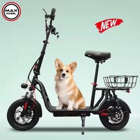 Bicicleta Elétrica Dobrável para Adultos EB12 de 350W - E-Bike Urbana de Alta Qualidade com Bateria de Lítio 36V a Preço de Fábrica