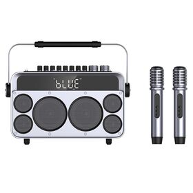 Nouveaux modèles populaires SANSUI Lecteur de karaoké portable en gros, ensemble de karaoké à double microphone sans fil pour les réunions de famille