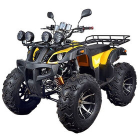 ATV Pabrik Dewasa 300cc Roda Empat