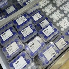 peptide SS31 Peptide High Quality GMP ISO Certified Bulk Manufacturer OEM Private Label Laboratory Tested HPLC Export peptide