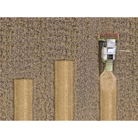 Recolector de Granos Versátil RG25 de Buena Calidad, Diseñado para Agricultura y Cosecha a Pequeña y Mediana Escala