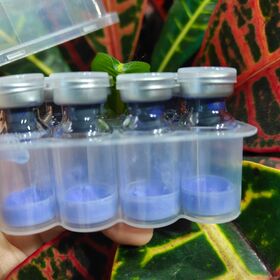 Peptides en gros, peptides de la plus haute qualité, chambre unique