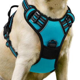 Eco-Friendly Stainless steel Dog Harness for Lightweight Comfort,OEM factory