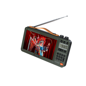 Bluetooth DAB radios