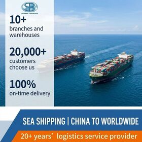 China to USA UK Europe FBA Shipping Agent Sea Freight DDP FCL LCL Specialist Services