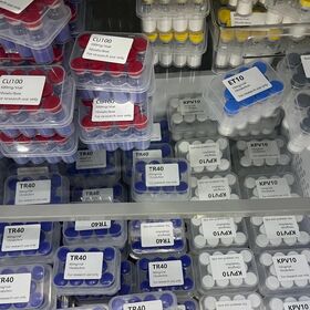 Avantage de prix, logistique rapide, livraison dans les 7 jours, qualité jusqu'à 99%