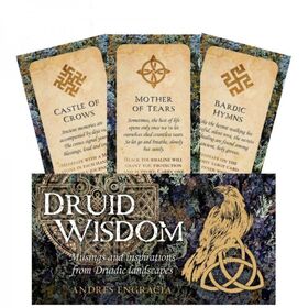 Druid Wisdom Inspirationskarten-Set von Rockpool Publishing mit illustriertem Leitfaden - B2B Großhandel