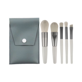 Reise-Make-up-Pinsel-Set Fabrikpreis 5 Stück Synthetisches Haar Rosa Blau Langlebige Gesichtsapplikation Concealer Kabuki