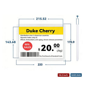 10.2'' Four color Electronic Shelf Label digitial price tag wholesale ESL esl label | for smart retail